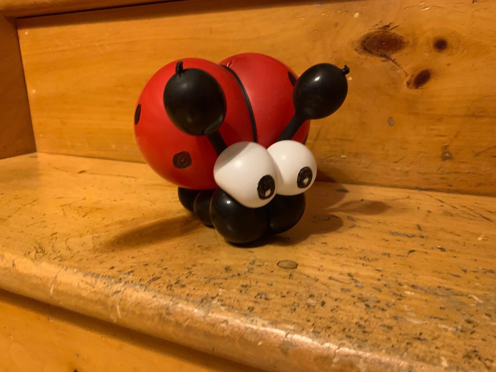 Cute red ladybug balloon animal